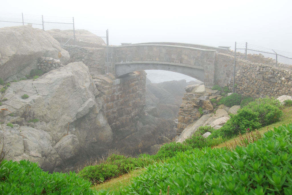 DSC_0568.JPG